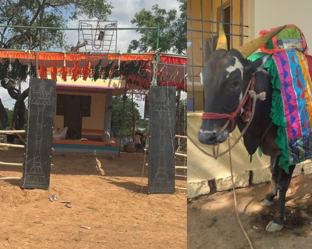 20 ఏళ్ల తర్వాత ‘తమటం వారి దేవారెద్దు వేల్పు’