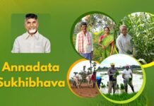 రేపే అన్నదాతా సుఖీభవ, పీఎం కిసాన్ కింద రూ.3,125 కోట్లు